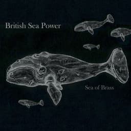 British Sea Power