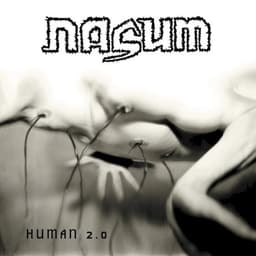 Nasum