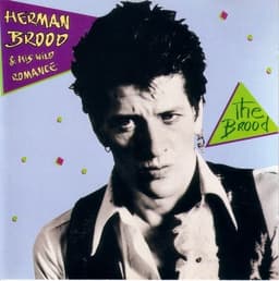 Herman Brood