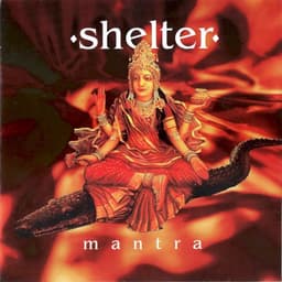 Shelter