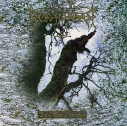 Borknagar