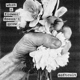 Softcult