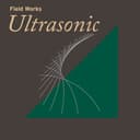Ultrasonic