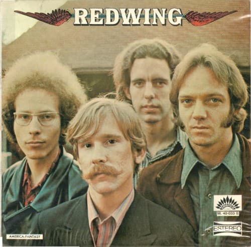 Redwing