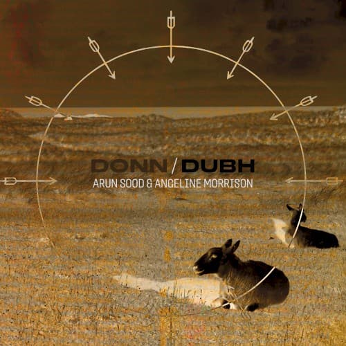 Donn/Dubh