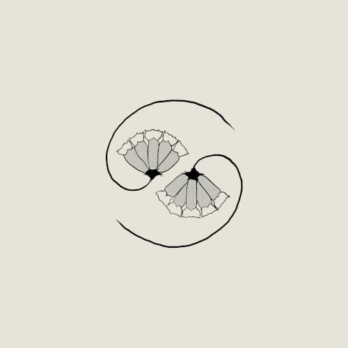 G_d’s Pee AT STATE’S END!