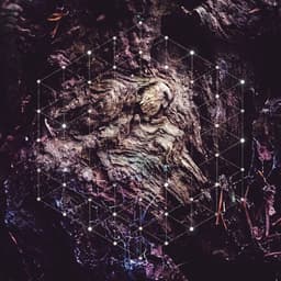 Psychonaut