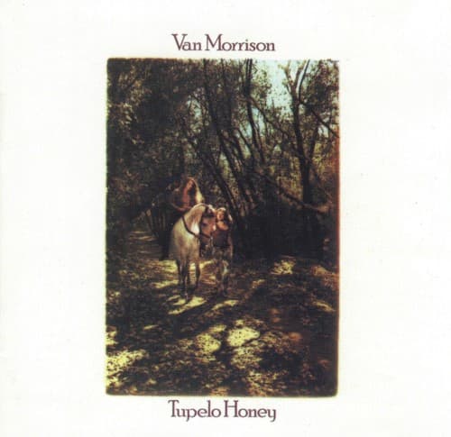 Tupelo Honey