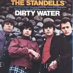 The Standells