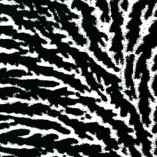 Cover the Windows and the Walls