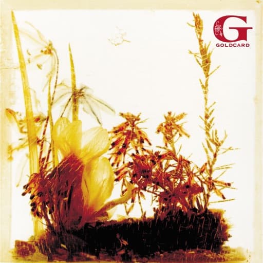 Goldcard