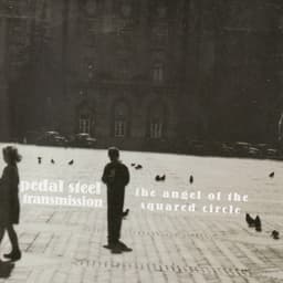 Pedal Steel Transmission