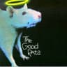 The Good Rats