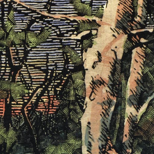 Asleep Many Years In the Woods