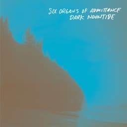 Six Organs of Admittance