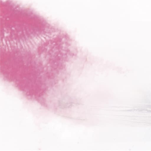 The Long Shadow Of The Paper Tiger