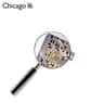 Chicago 16 (Bonus Track Version)