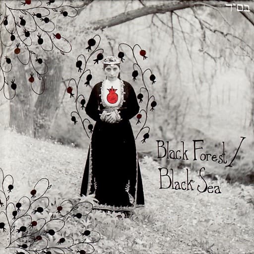 Black Forest / Black Sea