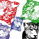 Gin Nation (Original)