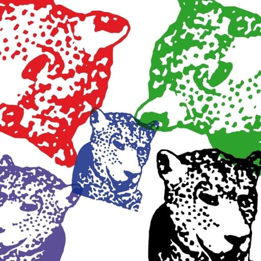 Gin Nation (Original)