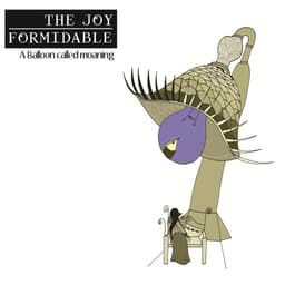 The Joy Formidable