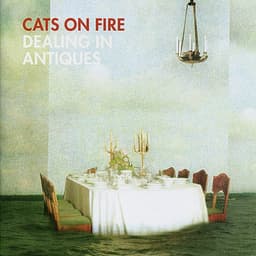 Cats On Fire