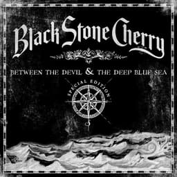 Black Stone Cherry