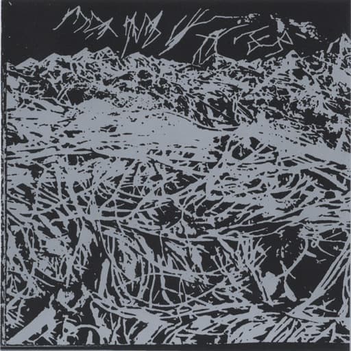 Expedition to the hairier peaks