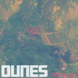Dunes
