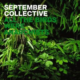 September Collective