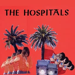 The Hospitals