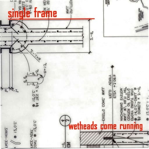 Wetheads Come Running