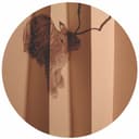 Really Don't Mind - Radio Edit