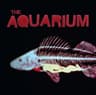 The Aquarium