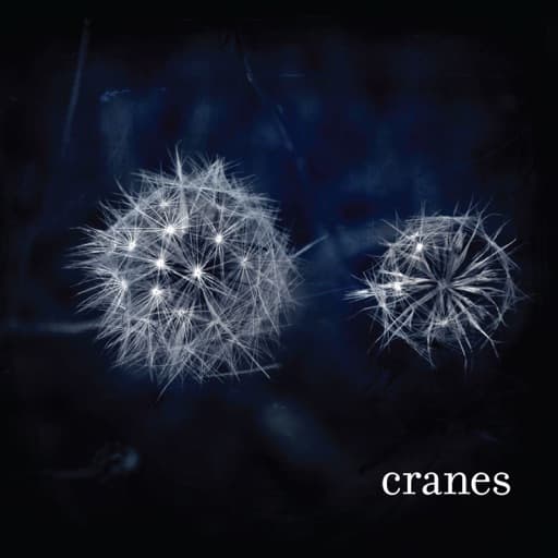 Cranes