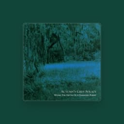 Autumn's Grey Solace