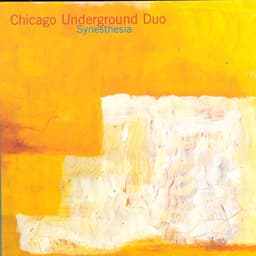 Chicago Underground Duo