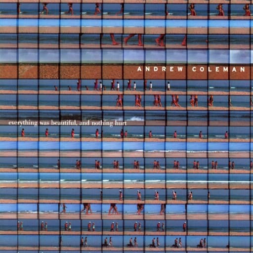 Everything Was Beautiful, and Nothing Hurt