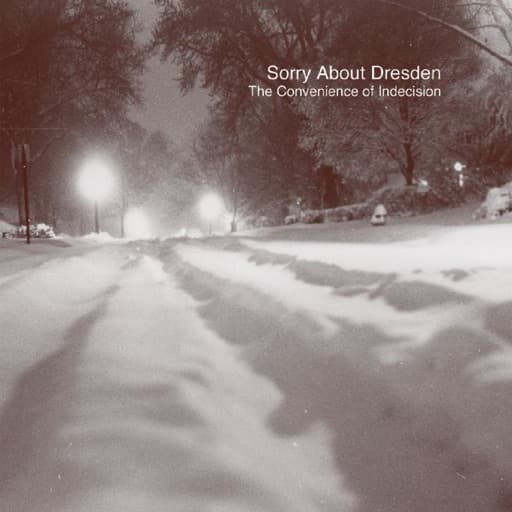 The Convenience of Indecision