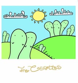 The Cassettes