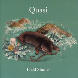Quasi