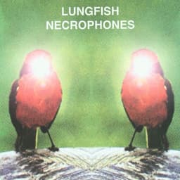 Lungfish