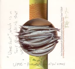 Sisterhood of Convoluted Thinkers