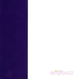 Ampbuzz