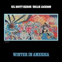 Album cover art for Winter in America