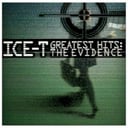 Album cover art for Greatest Hits: The Evidence