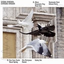 Album cover art for Typical System