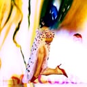 Album cover art for MR COBRA