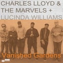 Album cover art for Vanished Gardens