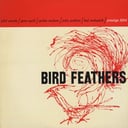 Album cover art for Bird Feathers